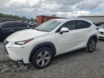  Salvage Lexus NX