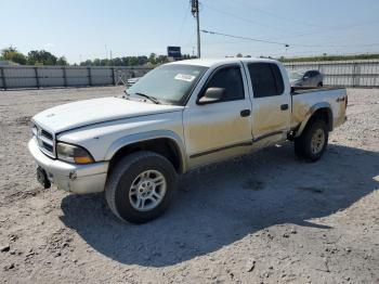  Salvage Dodge Dakota