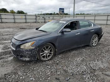  Salvage Nissan Maxima