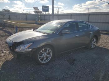  Salvage Nissan Maxima