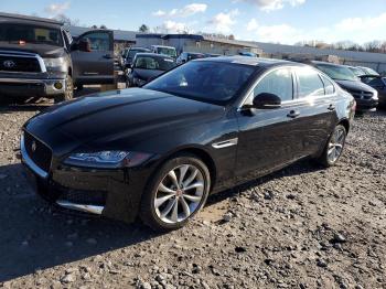  Salvage Jaguar XF