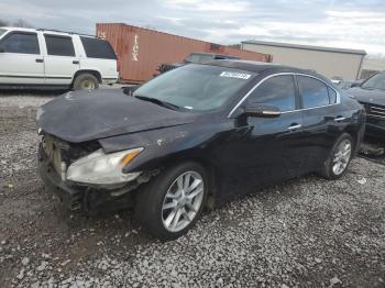  Salvage Nissan Maxima