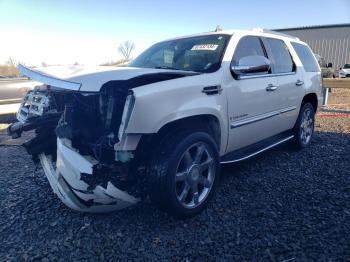  Salvage Cadillac Escalade