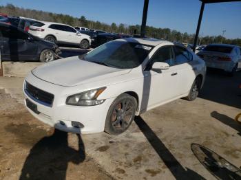  Salvage Nissan Maxima