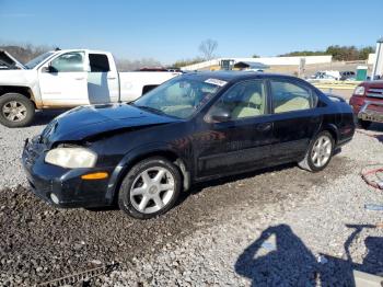  Salvage Nissan Maxima