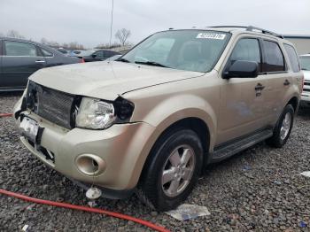  Salvage Ford Escape