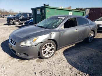  Salvage Nissan Maxima