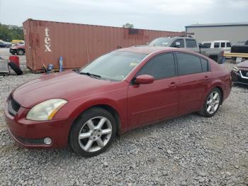  Salvage Nissan Maxima