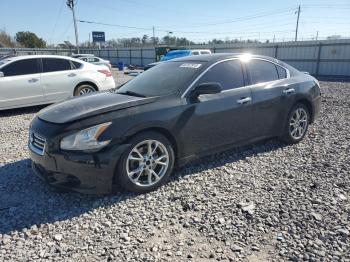  Salvage Nissan Maxima