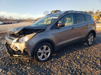  Salvage Ford Escape