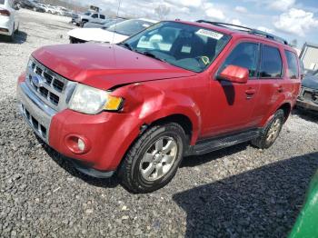  Salvage Ford Escape