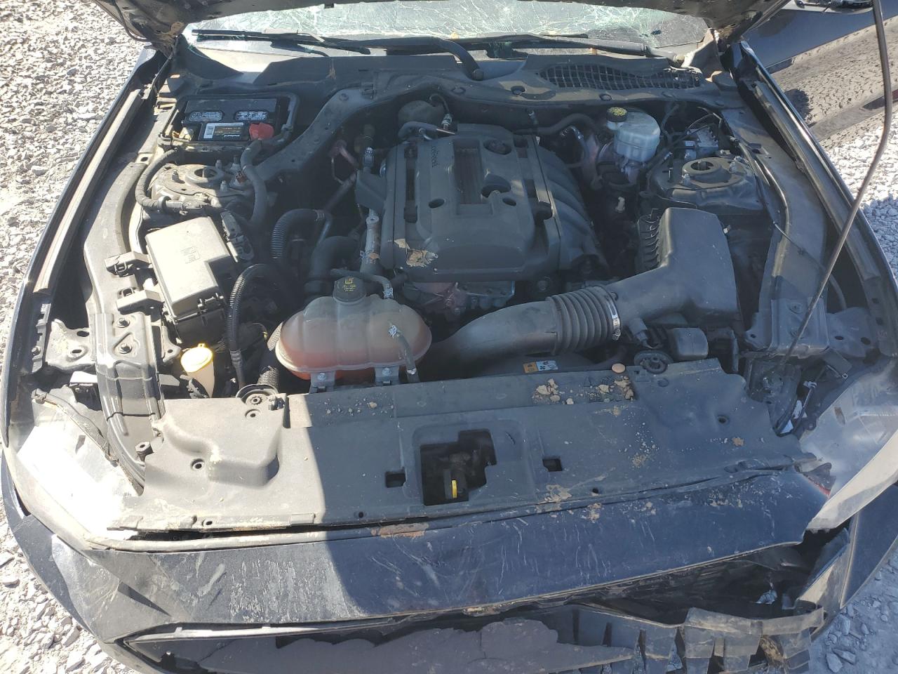 Ford Mustang Image 8