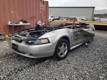  Salvage Ford Mustang
