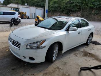  Salvage Nissan Maxima