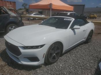  Salvage Ford Mustang