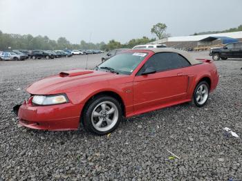  Salvage Ford Mustang