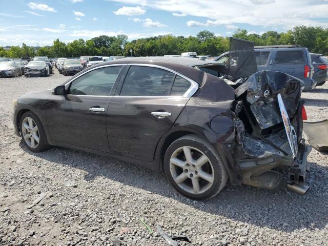 Nissan Maxima S Image 2