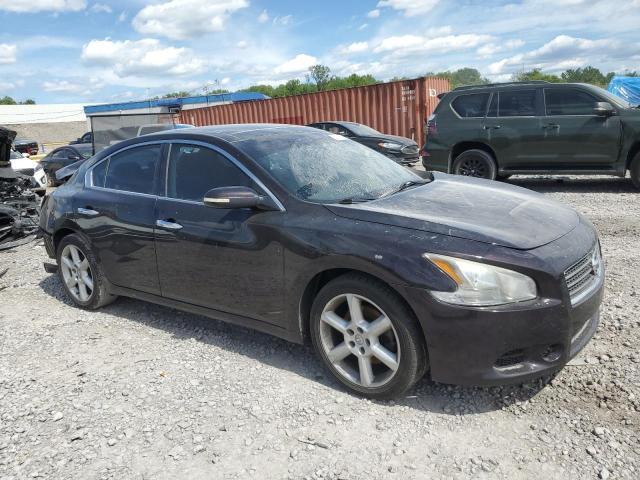 Nissan Maxima S Image 3