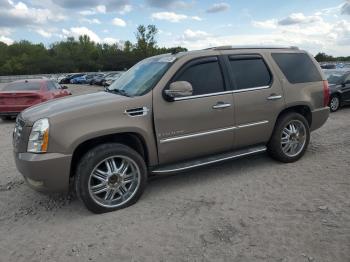  Salvage Cadillac Escalade