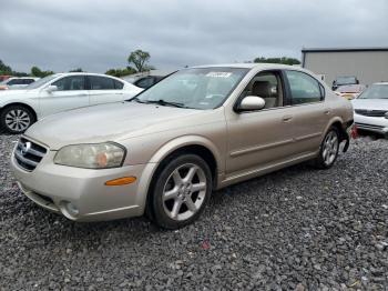  Salvage Nissan Maxima