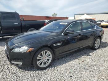  Salvage Jaguar XF
