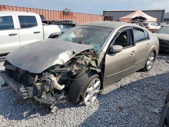  Salvage Nissan Maxima
