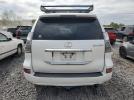 Lexus Gx 460 Premium Image 2