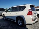 Lexus Gx 460 Image 12