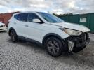 Hyundai SANTA FE Image 3