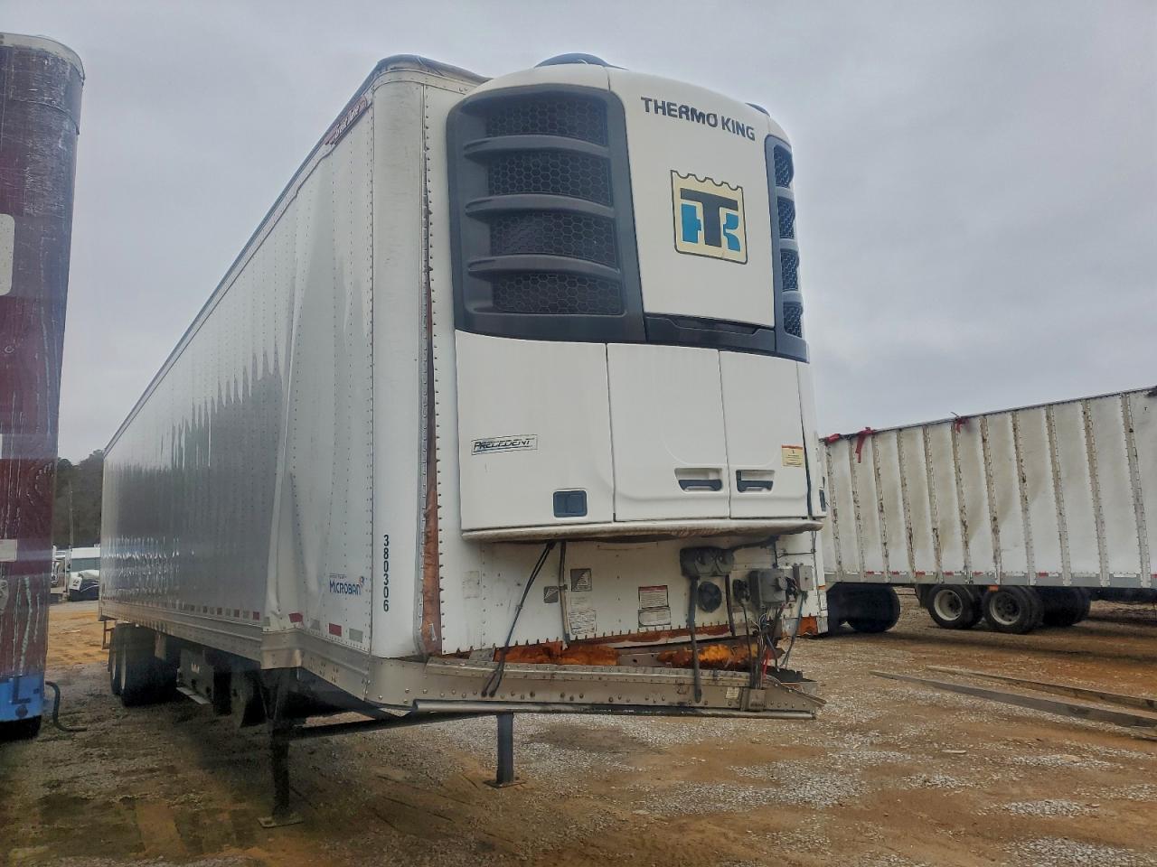 Great Dane Other Image 1