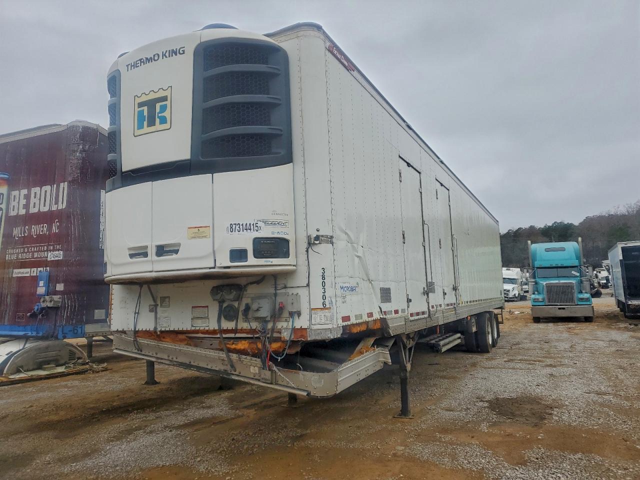 Great Dane Other Image 3