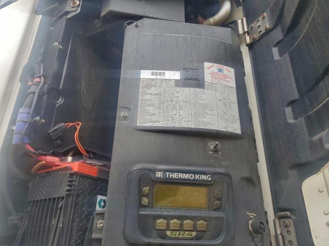 Great Dane Other Image 5