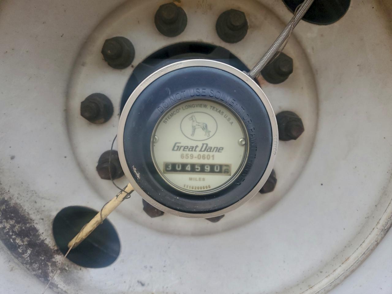 Great Dane Other Image 7