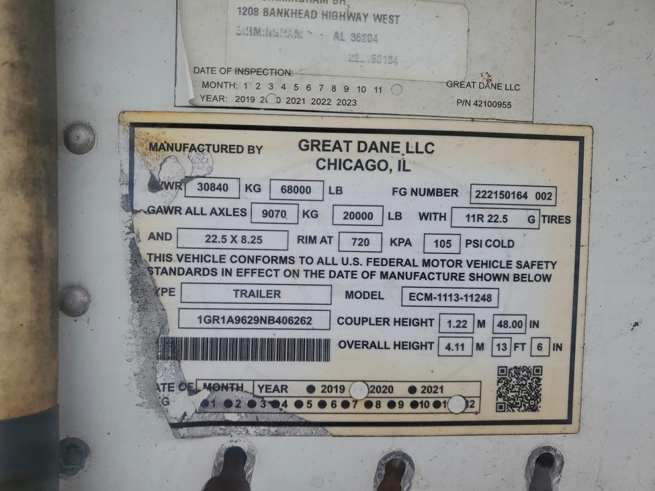 Great Dane Other Image 9