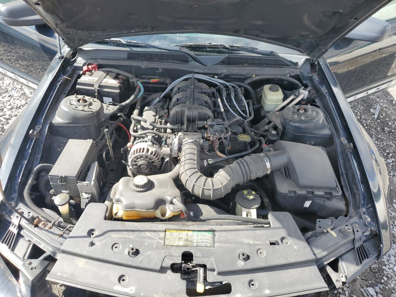 Ford Mustang Image 9