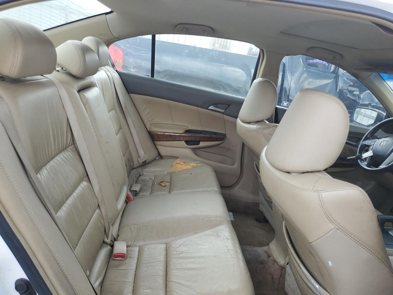 Honda Accord Exl Image 5