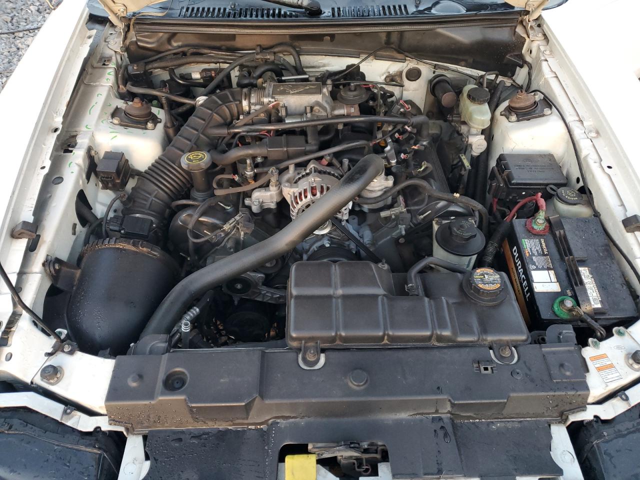 Ford Mustang Gt Image 9