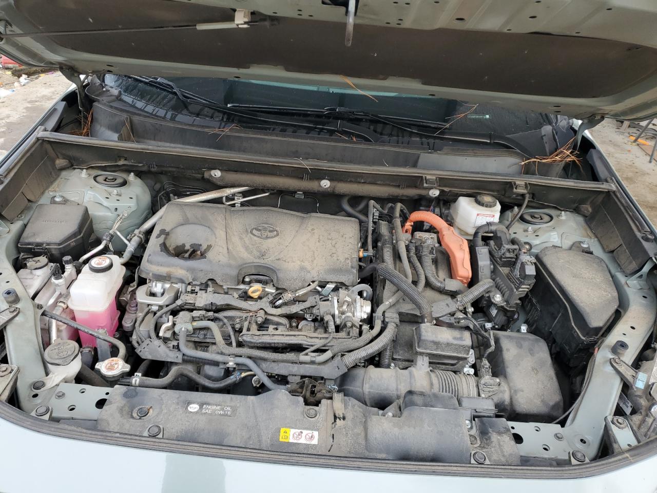 Toyota RAV4 Xle Image 9