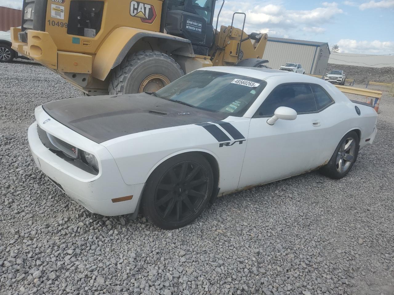 Dodge Challenger R/t Image 1