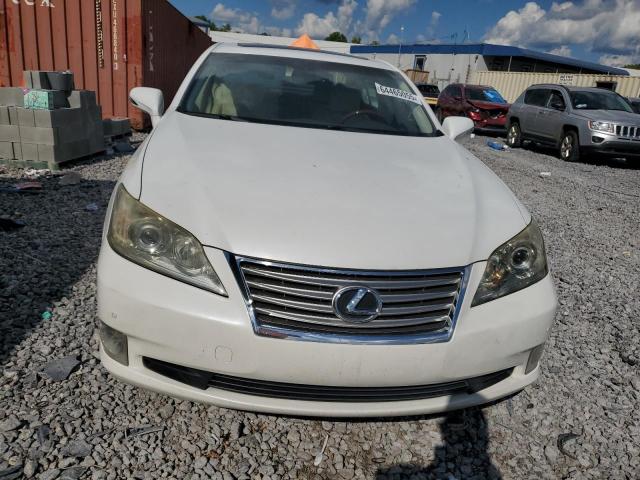 Lexus Es 350 Image 6