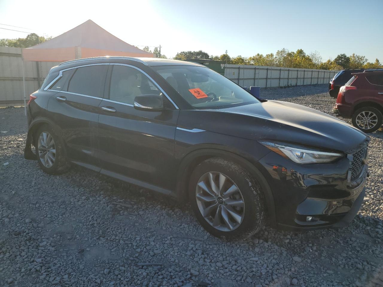 INFINITI Qx Pure Image 7