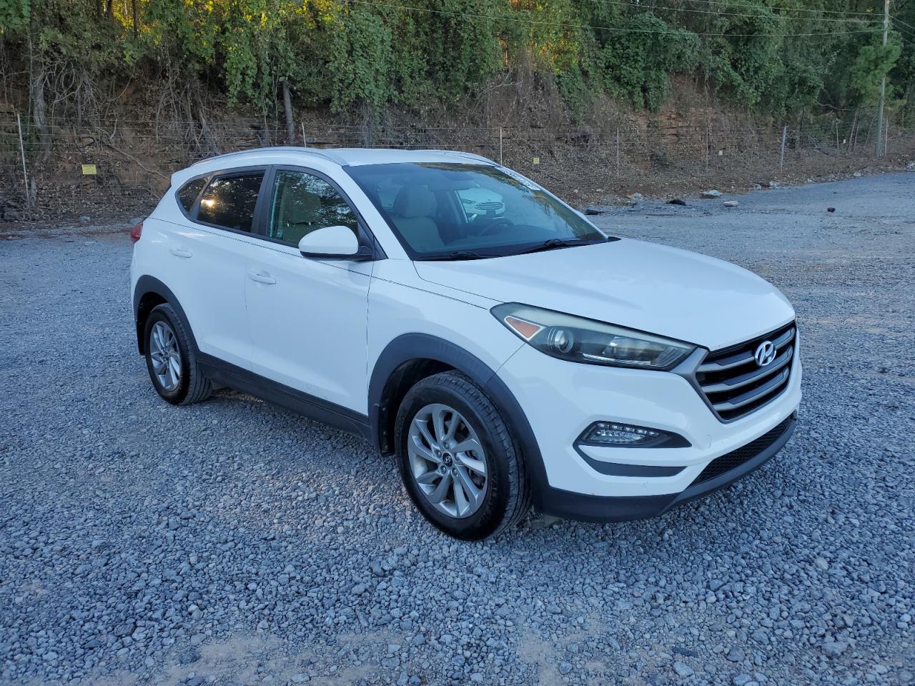 Hyundai TUCSON Limited Image 11