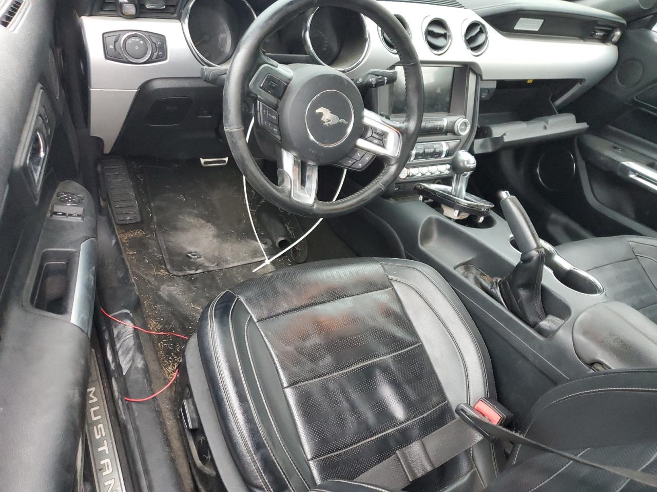 Ford Mustang Image 2