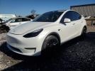 Tesla Model Y Image 1