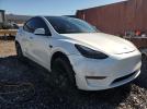 Tesla Model Y Image 11