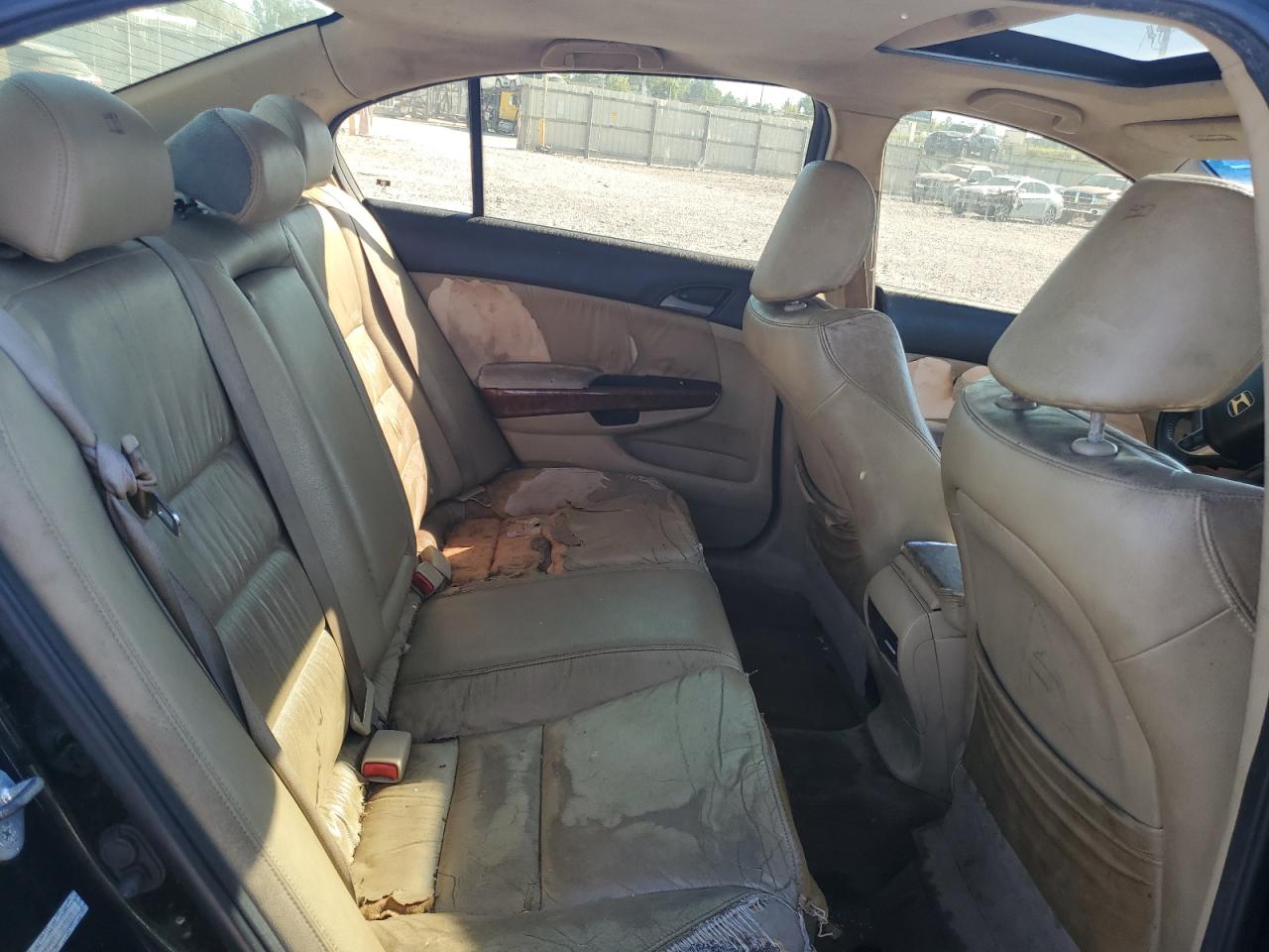 Honda Accord Exl Image 11