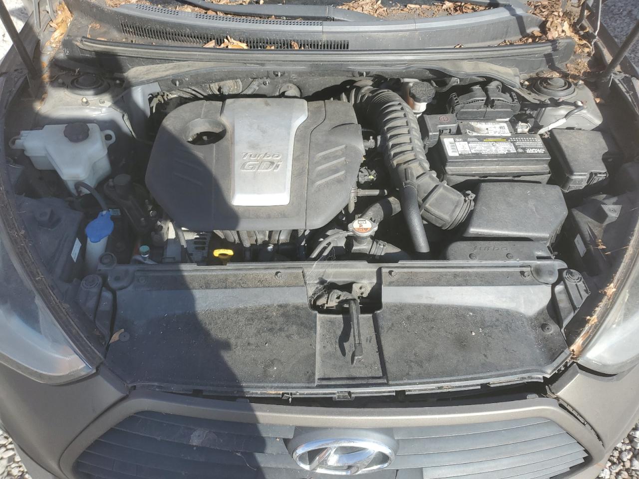 Hyundai VELOSTER Turbo Image 6