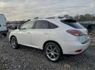 Lexus RX 350 Base Image 5