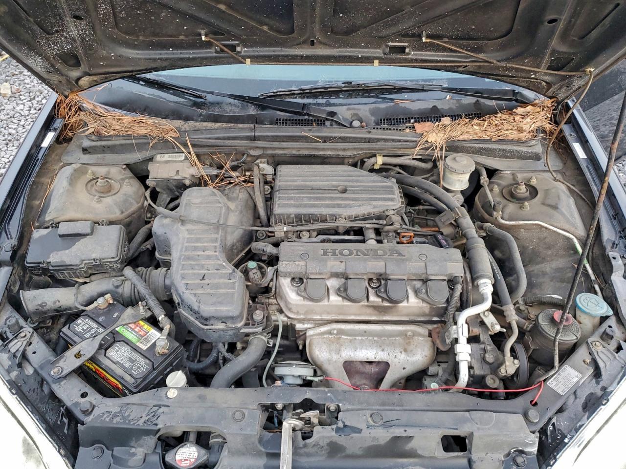 Honda Civic Lx Image 4