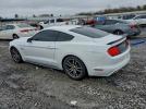 Ford Mustang Gt Image 6